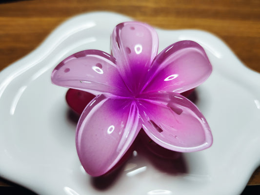 PINCES FLEURS